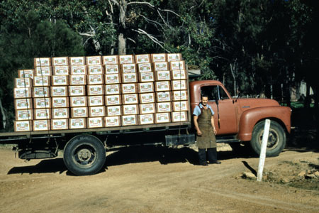 One of the last truckloads of apples to be exported from Australia in wooden boxes, 1955.