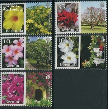 Flowers Bermuda 2014 bdp31402