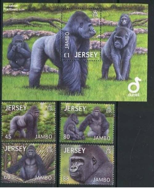 Jambo stamps Jersey